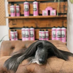 Champú Soso De Mandarina Para Perros Y Gatos -Plant Bargain Shop 00258 3 1