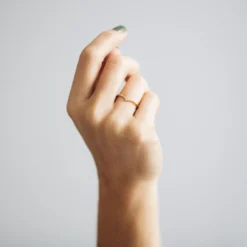 Wishbone Crown Ethical Platinum Ring -Plant Bargain Shop A Lebrusan ring Wishbone diamond crown model 1 1500px 2ce4ab57 3aba 4cf5 8e8f 5718d17b7429