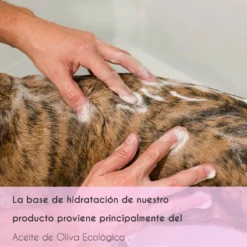 Mascarilla Hidratante Para Perros Y Gatos Con Todo Tipo De Pelo -Plant Bargain Shop AceitedeOliva 1