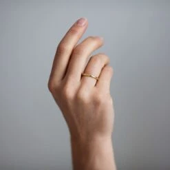 Beloved Diamond Ethical Platinum Wedding Ring -Plant Bargain Shop J4B7600 Edit 111787f9 e1e4 44ee 91c2 5794ee884604