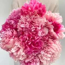 Peony Command Performance