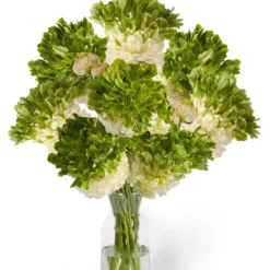 Ranunculus Crown Giverny -Plant Bargain Shop Ranunculus Crown Giverny 1