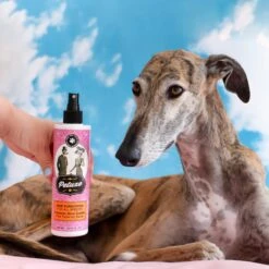 PETUXE COSMETICS Protector Solar Capilar Para Mascotas -Plant Bargain Shop protector solar mascotas