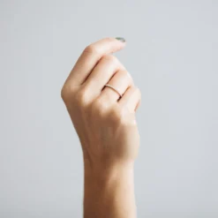 Altair Diamond Ethical Platinum Eternity Ring 10 Altair Diamond Ethical Platinum Eternity Ring -Plant Bargain Shop web C5A3537 5098301b 9da5 4461 a493 1d634a72c18c