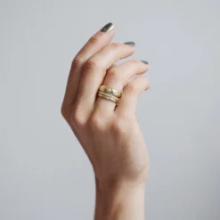 Diamond Star Ethical Gold Ring 12 Diamond Star Ethical Gold Ring -Plant Bargain Shop web J4B4341 Edit 6900d56c 5fb1 4c65 be28 b5dc30c71105